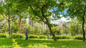 Lawns with tall trees offer an open space with ample shade for exercise.